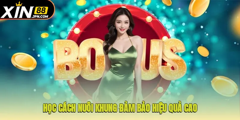 Học cách nuôi khung đảm bảo hiệu quả cao