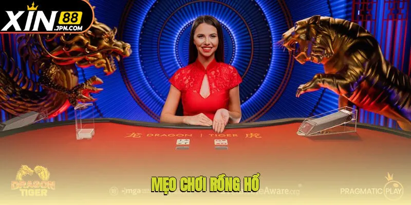 Giới thiệu tổng quan về mẹo chơi rồng hổ