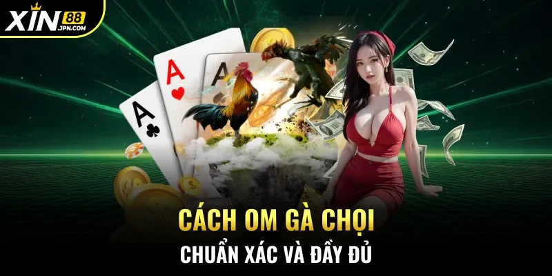 Cách om gà chọi chuẩn xác và đầy đủ