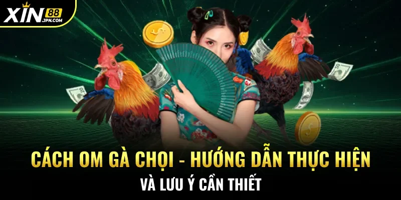 Cách om gà chọi