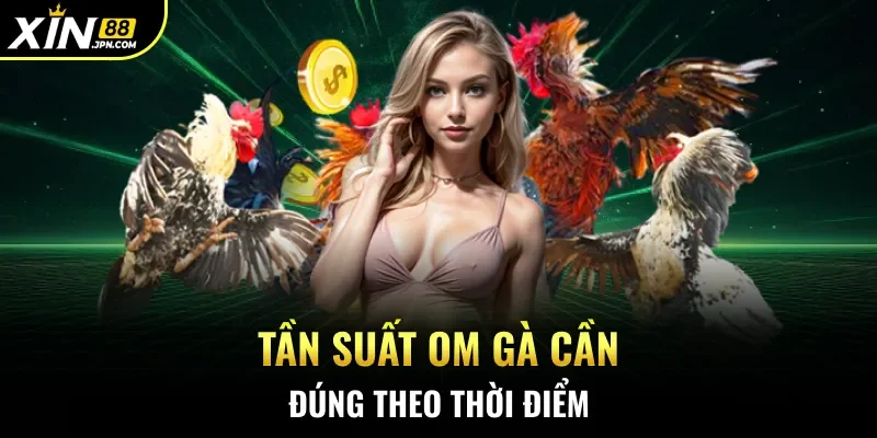 Tần suất om gà cần đúng theo thời điểm