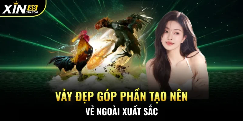Vảy đẹp góp phần tạo nên vẻ ngoài xuất sắc