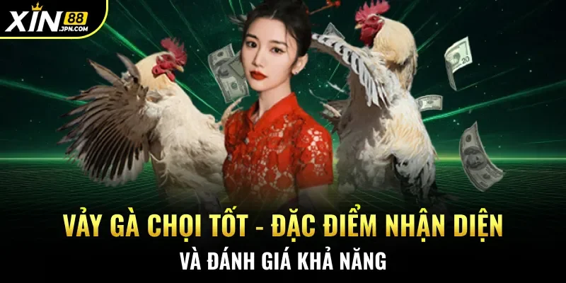 Vảy gà chọi tốt